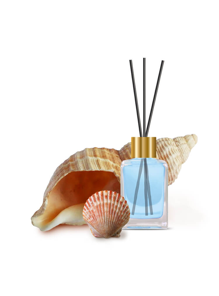 HC Reed Diffuser 30ml